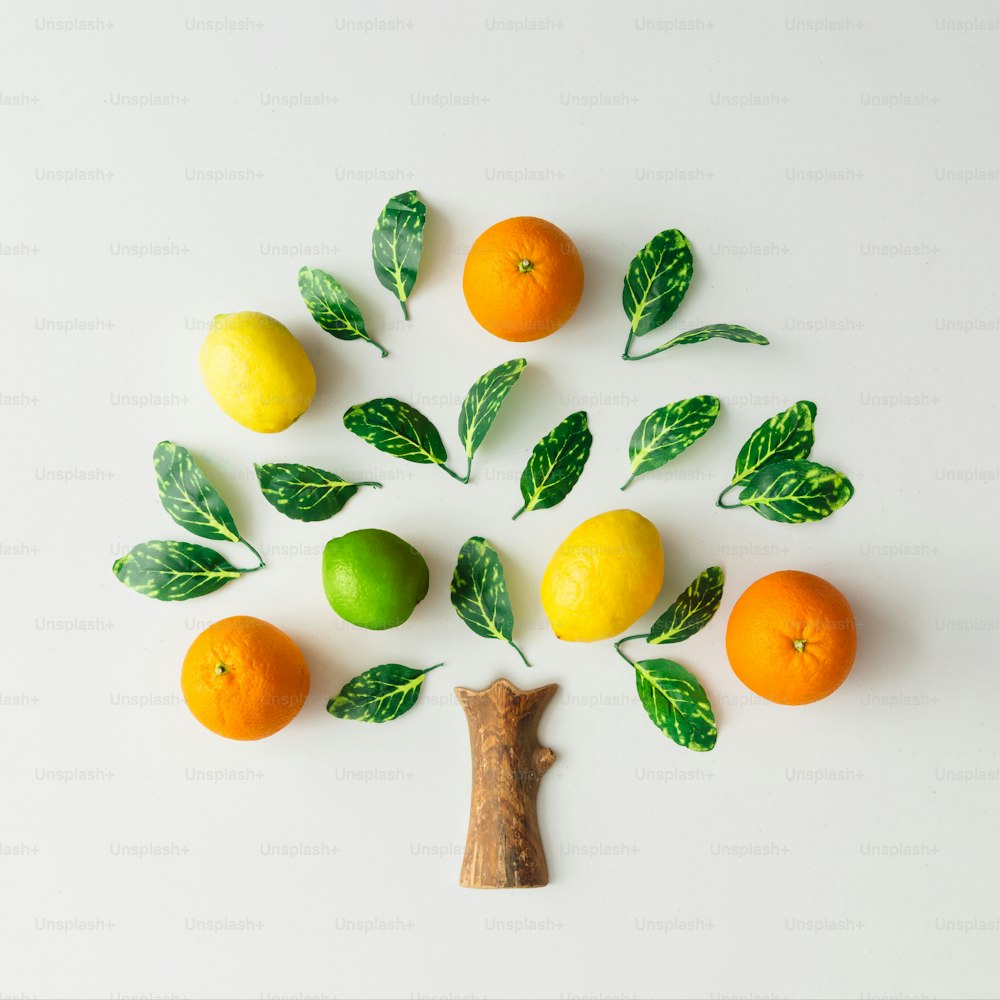 Árvore feita de frutas cítricas, laranjas, limões, limão e folhas verdes em fundo brilhante. Conceito criativo de natureza flat lay.