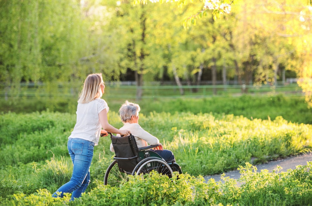 Elderly grandmother in wheelchair with an adult granddaughter outside in spring nature.