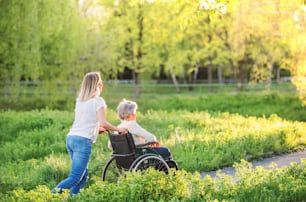 Elderly grandmother in wheelchair with an adult granddaughter outside in spring nature.