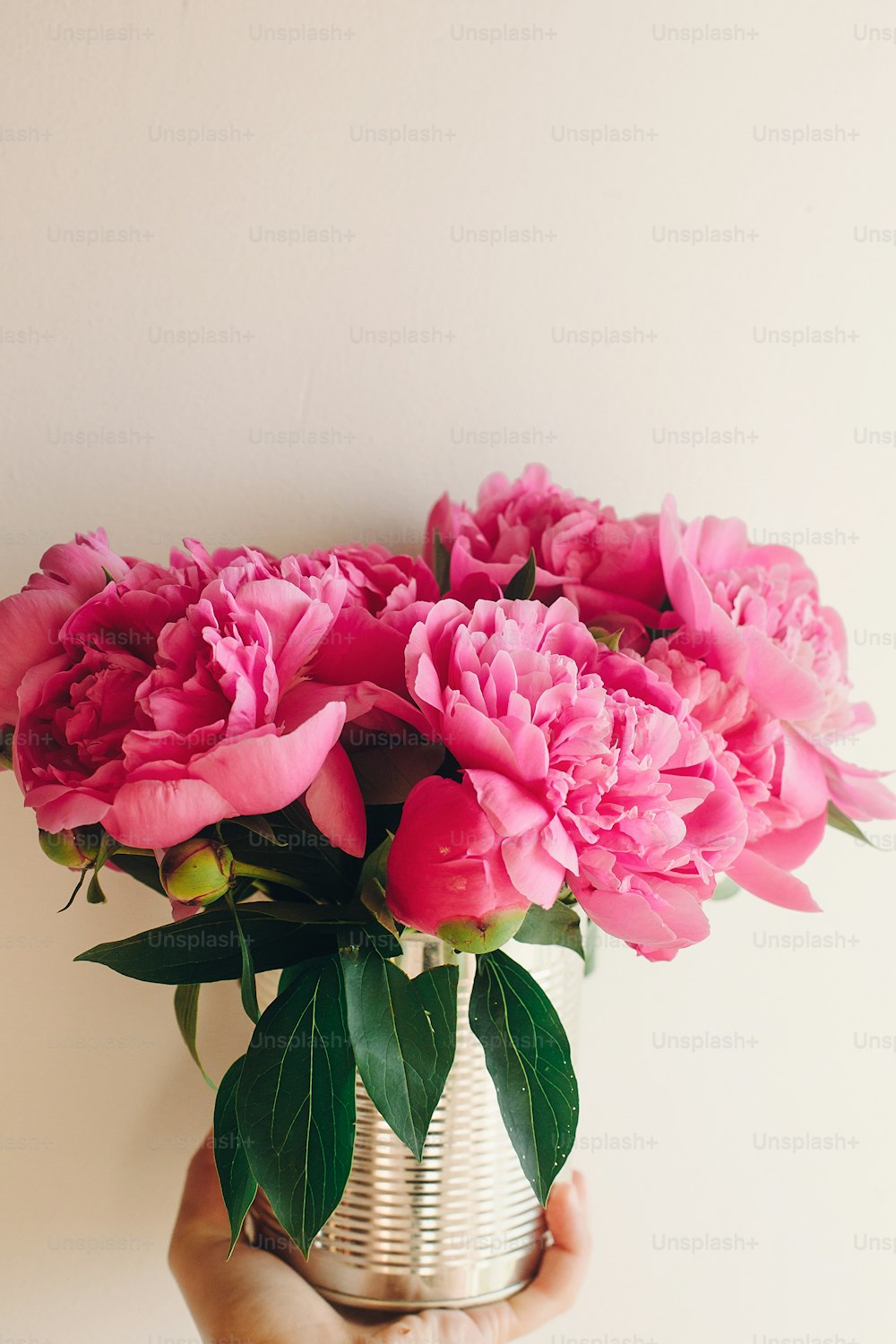 소박한 흰색 배경에 금속 캔에 분홍색 모란 꽃다발을 들고 있는 손, 텍스트를 위한 공간. 꽃 인사말 카드 모형. 해피 어머니의 날 개념입니다. 핑크 꽃, 시골 이미지