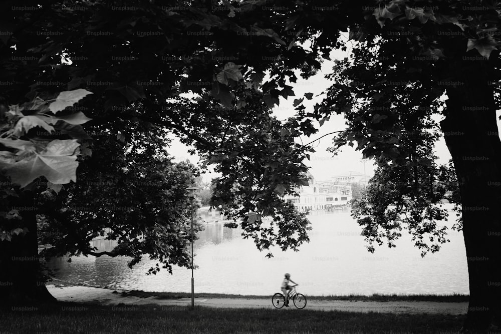 bambino che cavalca un bicicletta al lago e alberi nel parco nella luce del mattino da solo, strada della città di Budapest, foto in bianco e nero
