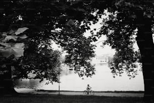 niño montando una bicicleta en el lago y los árboles en el parque a la luz de la mañana sola, calle de la ciudad de Budapest, foto en blanco y negro