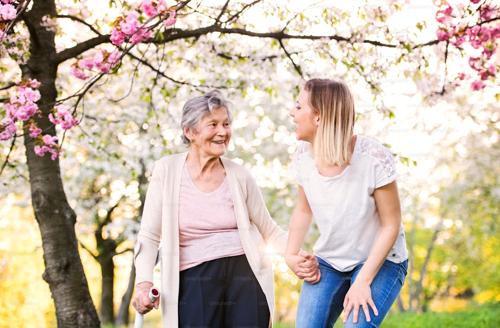 Elderly grandmother with forearm crutch and an adult granddaughter walking outside in spring nature.