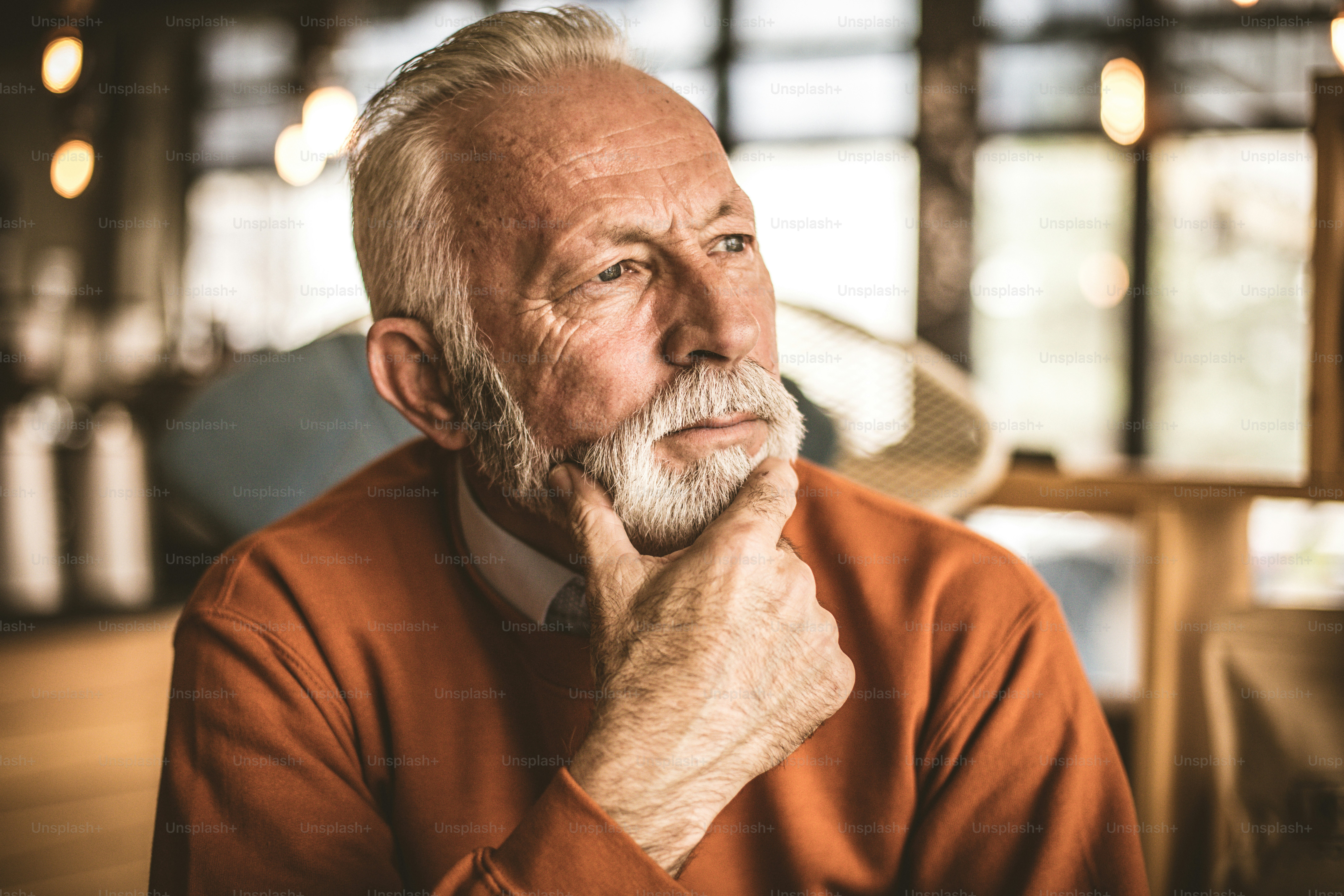 Ritratto di uomini d'affari anziani.