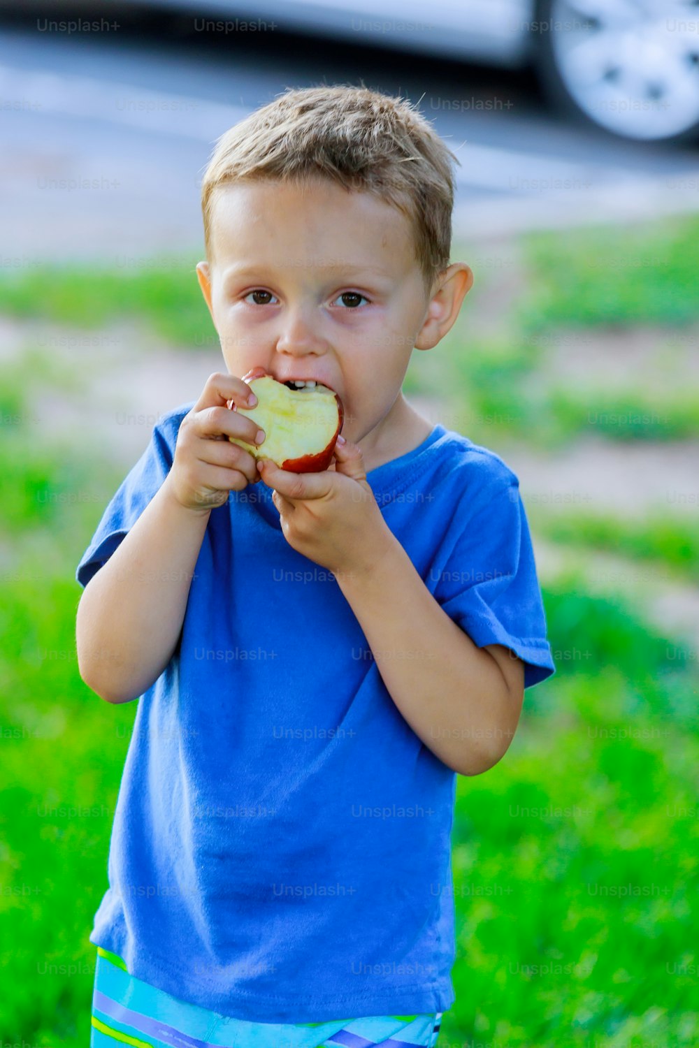 Portrait of boy with red juicy apple in his hand and green grass in the background