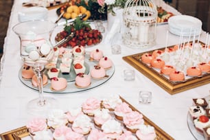 deliciosos dulces, dulces, magdalenas, paletas decoradas con flores en la mesa en la recepción de la boda. barra de chocolate. Sabrosos dulces rosas para celebraciones, eventos y despedidas de soltera. Catering de lujo y estilo