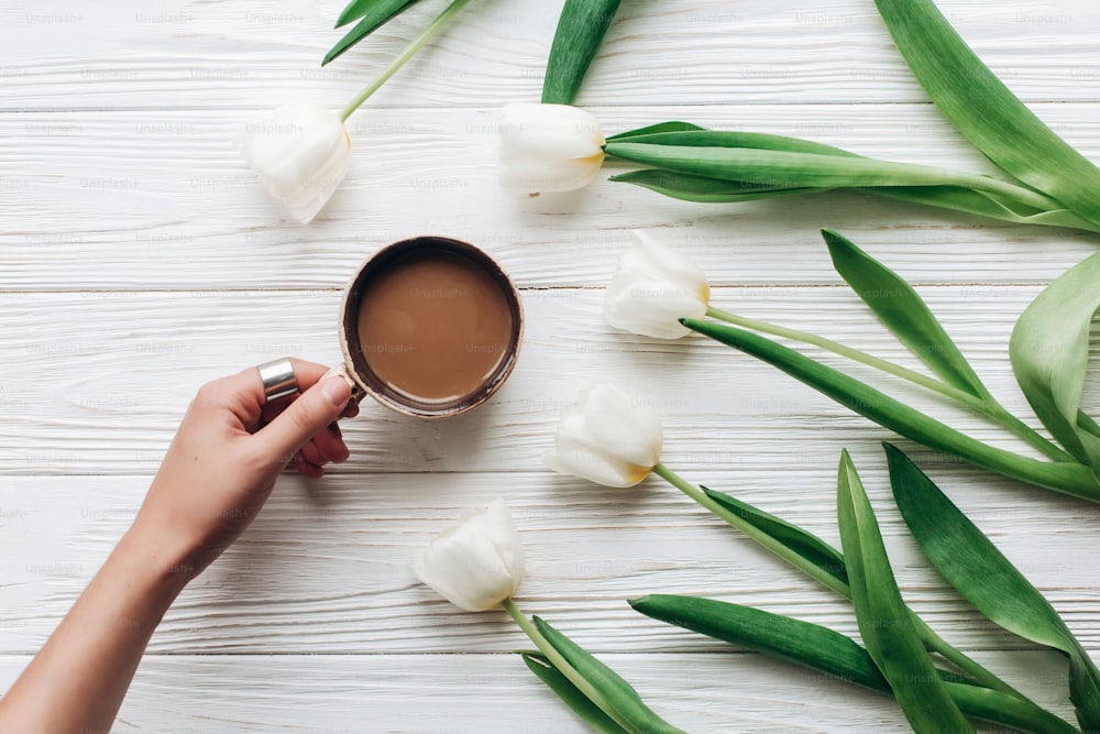 main tenant une tasse à café et des tulipes sur fond rustique en bois blanc. Appartement élégant avec des fleurs et une boisson avec de l’espace pour le texte. Bonjour le printemps. concept de jour heureux. Atelier photo Instagram