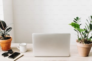 Freelance concept. Desktop with laptop, phone, notebook, coffee cup and plant. business workspace in home or office with work tools on wooden table. stylish work place