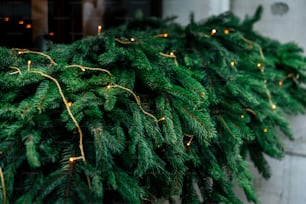 세련된 럭셔리 크리스마스 화환 조명, 창문과 녹색 소나무, 도시의 휴일 축하 장식