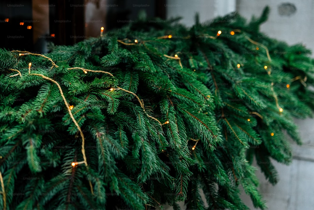 Stilvolle Luxus-Weihnachtsgirlande Lichter am Fenster und grüne Kiefer, Feierdekoration für Ferien in der Stadt