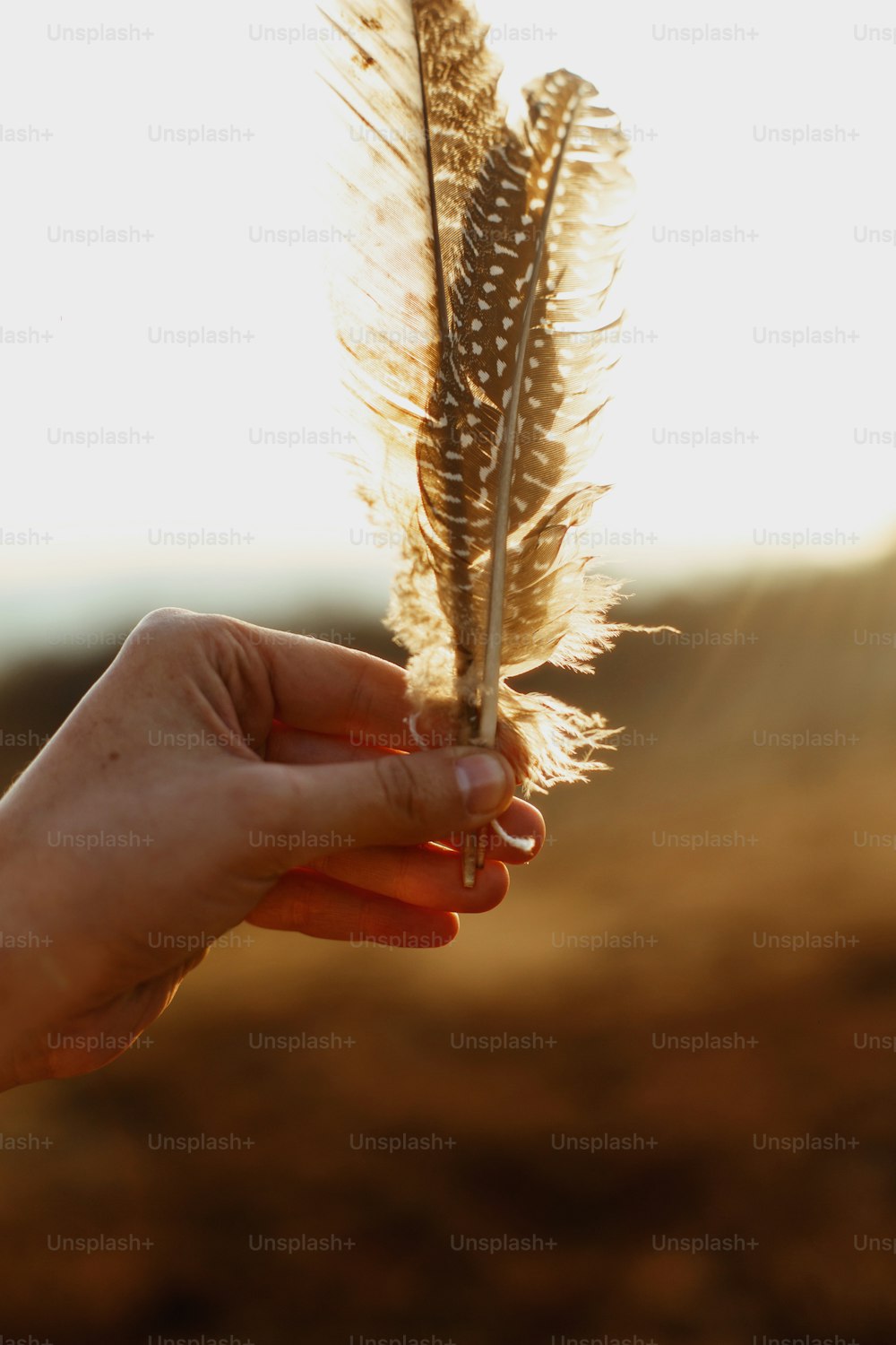 beautiful boho woman hand holding feathers in evening sunlight, peaceful inspirational moment