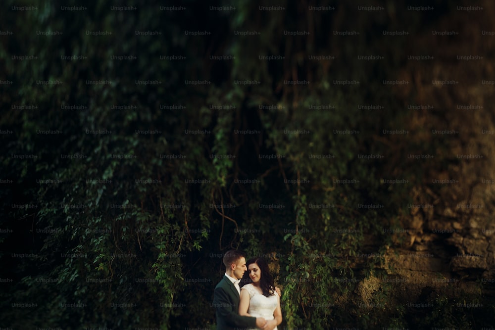 Elegante novia y novio de lujo posando juntos cerca de ramas verdes y hojas cerca del castillo al atardecer. Momento sensual de hermosa pareja de bodas al aire libre
