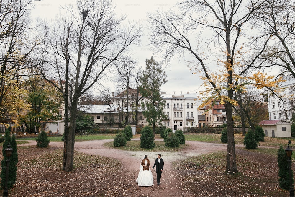 花束を持ったゴージャスな花嫁とスタイリッシュな花婿が、秋にヨーロッパの公園の古城を歩いています。幸せな結婚式のカップルを抱きしめます。新婚夫婦のロマンチックな官能的な瞬間
