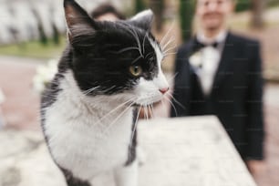 가을에 유럽 도시 거리에서 화려한 신부와 세련된 신랑 앞에서 귀여운 흑백 고양이의 초상화. 행복한 결혼식 커플은 키티를 애무하고 웃고 있습니다. 행복한 가족의 순간