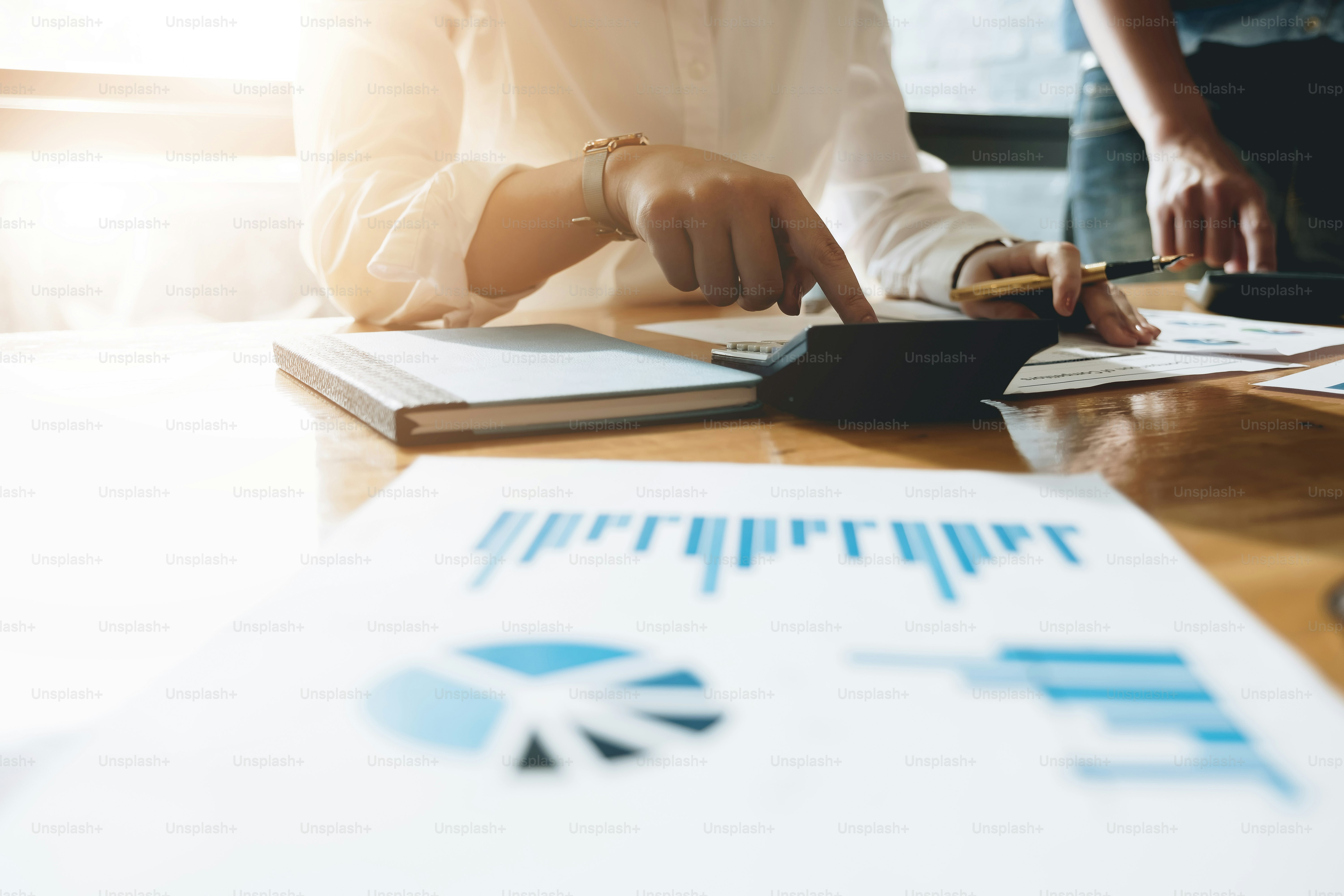 Business People Analyzing Statistics Business Documents, Financial Concept