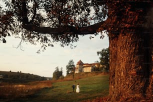 Luxus-Hochzeitspaar zu Fuß und große Eiche auf dem Hintergrund des Schlosses im weichen Abendlicht bei Sonnenuntergang. Romantischer Moment der schönen wunderschönen Braut und des stilvollen Bräutigams. Platz für Text