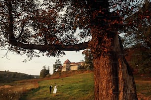 Glückliches frisch verheiratetes Paar, das bei Sonnenuntergang im Park spazieren geht, schöne Braut und hübscher Bräutigam, die Händchen halten, während sie in die Sonne schauen, umgeben von Natur, Schloss im Hintergrund