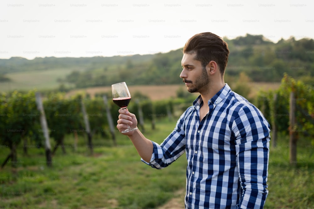 Viticoltore felice che degusta il vino in vigna in estate