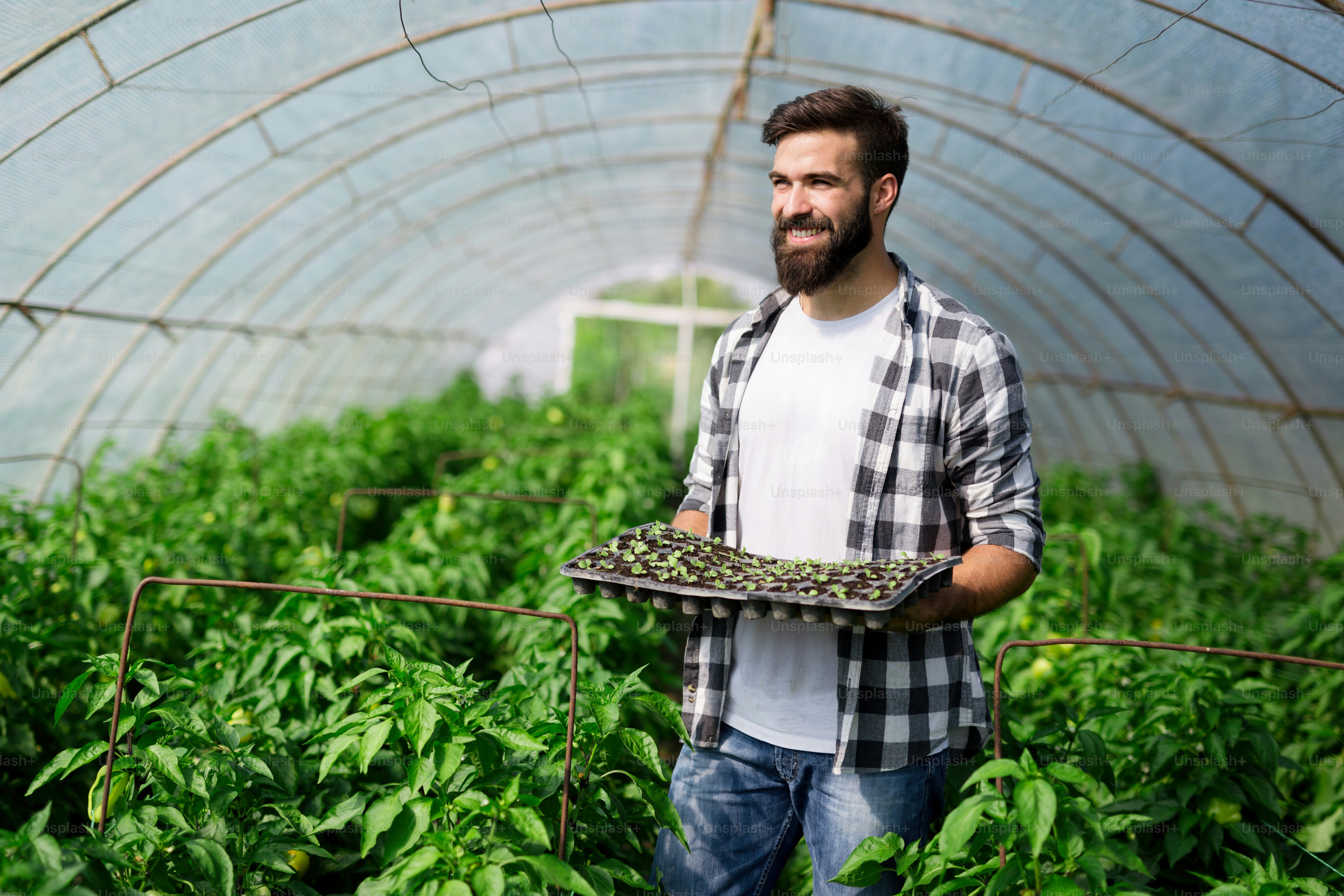 Young man doing plant work in his hothouse