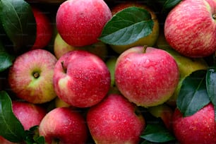 Fresh red apples in the wooden box on black background.  Top view.