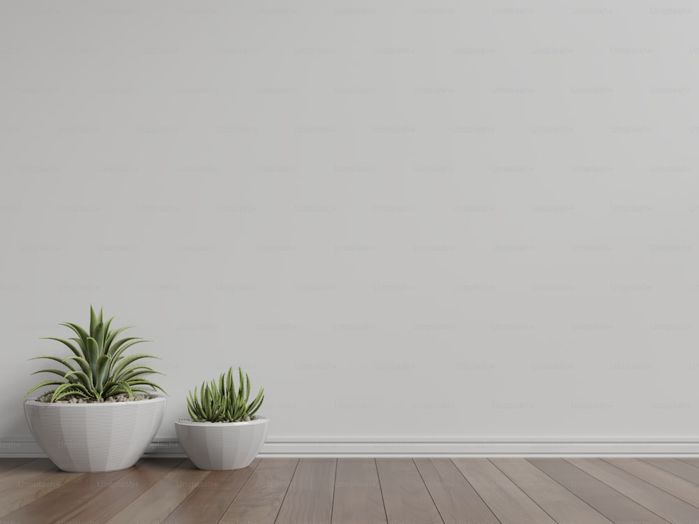 White empty room with plants on floor wooden,3d rendering