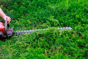 A gardener or worker man is using gasoline hedge trimmer machine cutting for decorating beautiful garden at some house