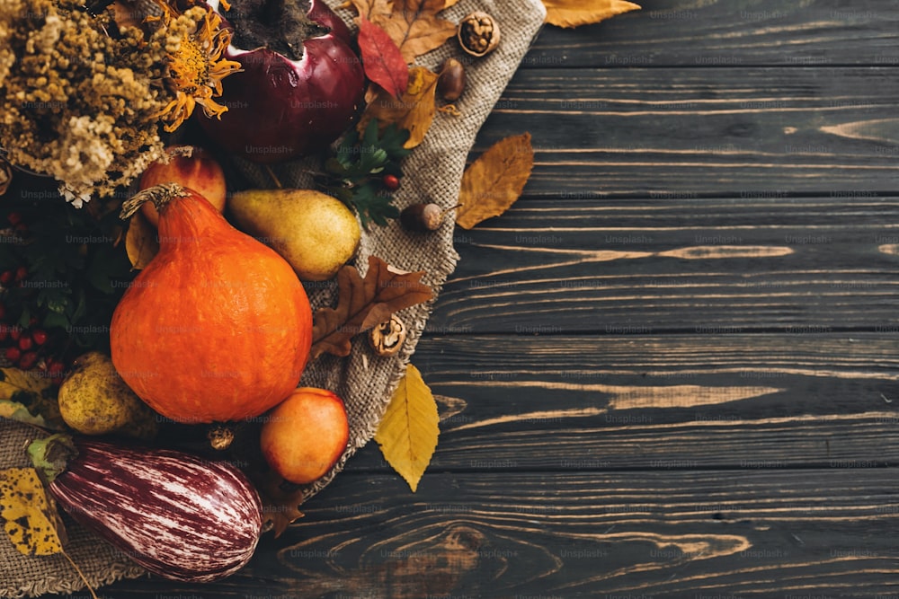 Feliz concepto de Acción de Gracias. Hermosa composición de calabaza, verduras de otoño con hojas coloridas, bellotas, nueces, bayas en mesa rústica de madera, plana.  Espacio para el texto. Temporada de otoño