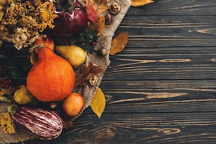 Happy Thanksgiving concept. Beautiful composition of Pumpkin, autumn vegetables with colorful leaves,acorns,nuts, berries on wooden rustic table, flat lay.  Space for text. Fall season