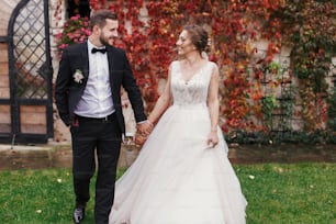 Gorgeous bride and stylish groom holding hands and walking at wall of autumn red leaves. Sensual wedding couple embracing. Romantic moments of newlyweds. Wedding photo
