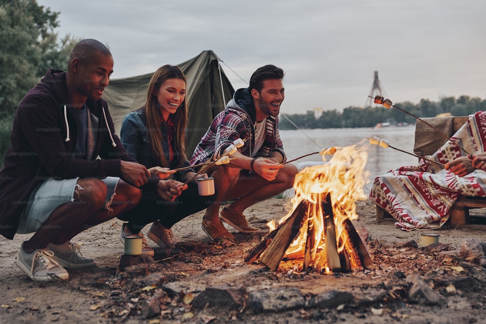 Gruppe von Jugendlichen in Freizeitkleidung, die Marshmallows über einem Lagerfeuer rösten, während sie sich in der Nähe des Sees ausruhen
