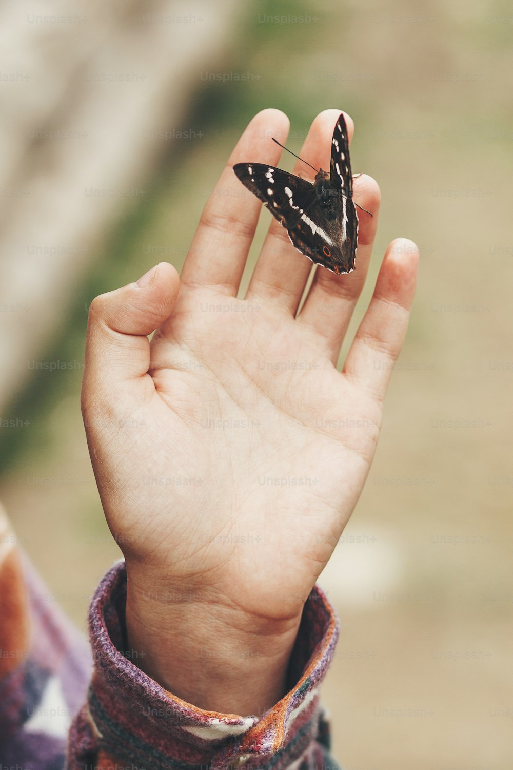 beautiful butterfly on girl hand. stylish happy woman holding apatura iris on fingers in forest in mountains. travel and wanderlust concept. space for text. amazing moment. insects in Ukraine