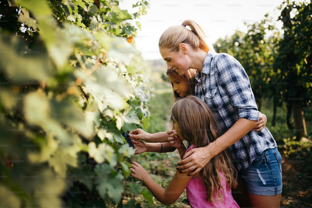 Young happy girls eating grapes in vineyard together