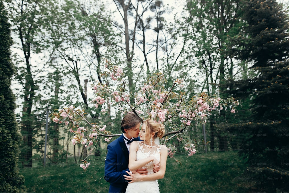 세련된 신부와 신랑은 목련 꽃 사이에 공원에서 포옹하고 키스합니다. 열정적 인 럭셔리 웨딩 커플 포옹. 낭만적 인 관능적 인 순간.