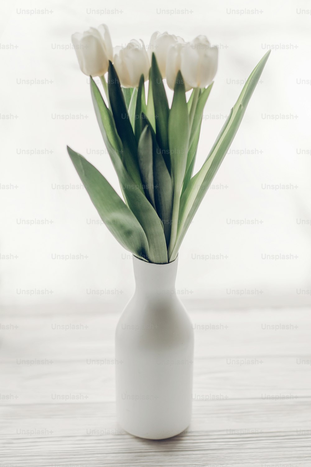 Stilvolle weiße Tulpen in minimalistischer modischer Vase auf rustikalen Holzfensterbänken im sanften Morgenlicht. Hallo Frühlingskonzept, Platz für Text