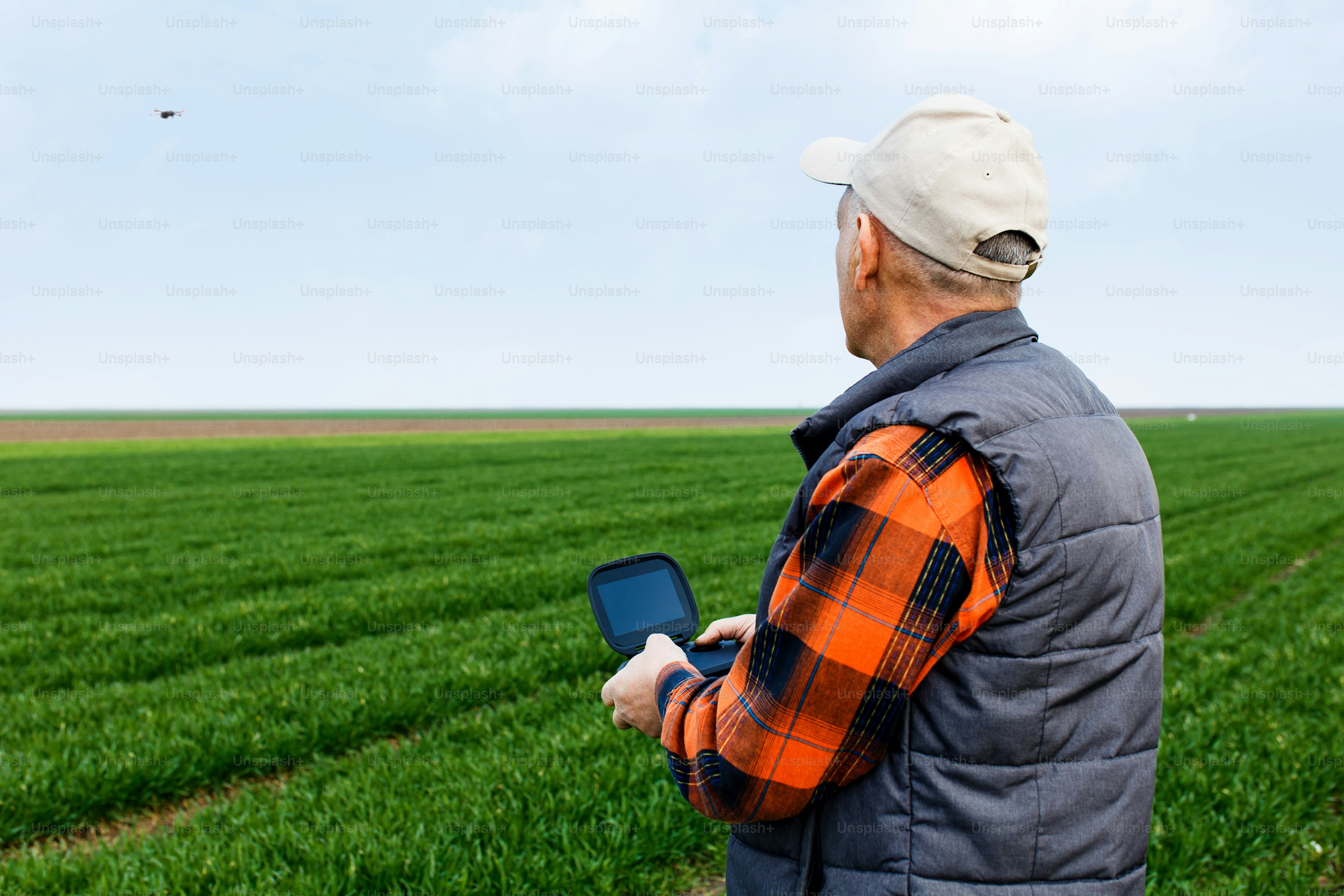 Senior farmer standing in filed examining young wheat corp during the sunny day with drone.