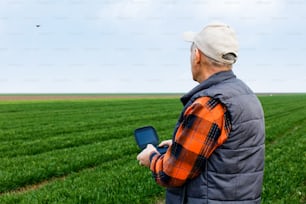 Agricoltore anziano in piedi in archiviato che esamina il giovane corpo di grano durante la giornata di sole con drone.