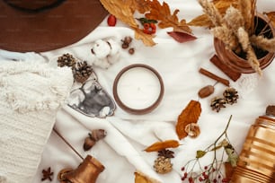 Stylish Autumn Flat Lay. Beautiful fall leaves, candle,berries,nuts,acorns,cotton, cones,cinnamon on soft white background top view. Seasons greetings. Cozy autumn image.