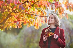 秋の日に公園を歩いている色とりどりの紅葉の束を持つ美しい若い女性