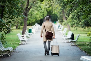 A rear view of mature handsome businessman with suitcase walking in a park in a city.