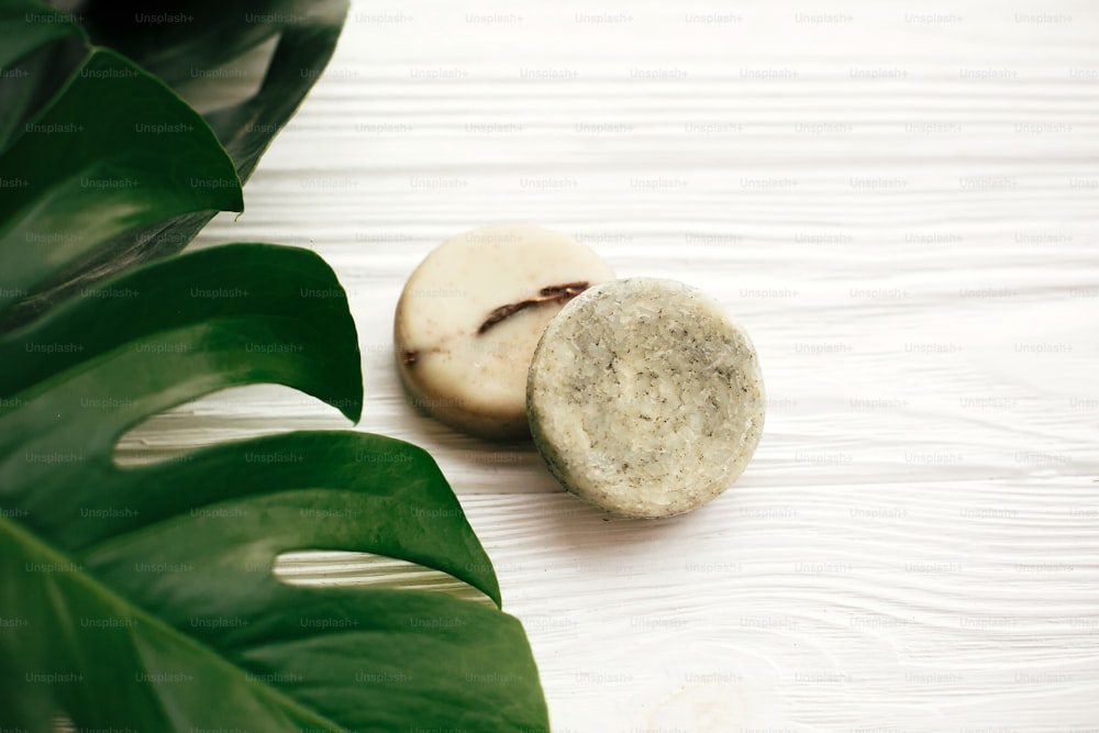 Zero waste concept. Natural eco friendly solid shampoo bar, green conditioner, soap on white wood with green monstera leaves. Eco products plastic free. Hair care and treatment