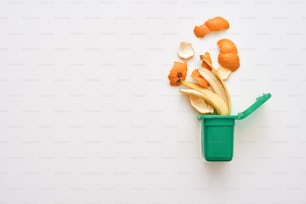 유기 폐기물 그림입니다. 음식물 쓰레기. 바나나와 오렌지 껍질, 분리