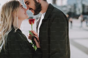 그의 매력적인 여자 친구에게 빨간 장미를주는 잘 생긴 수염 난 남자의 측면보기 초상화. 그들은 사랑과 미소로 서로를 바라보고