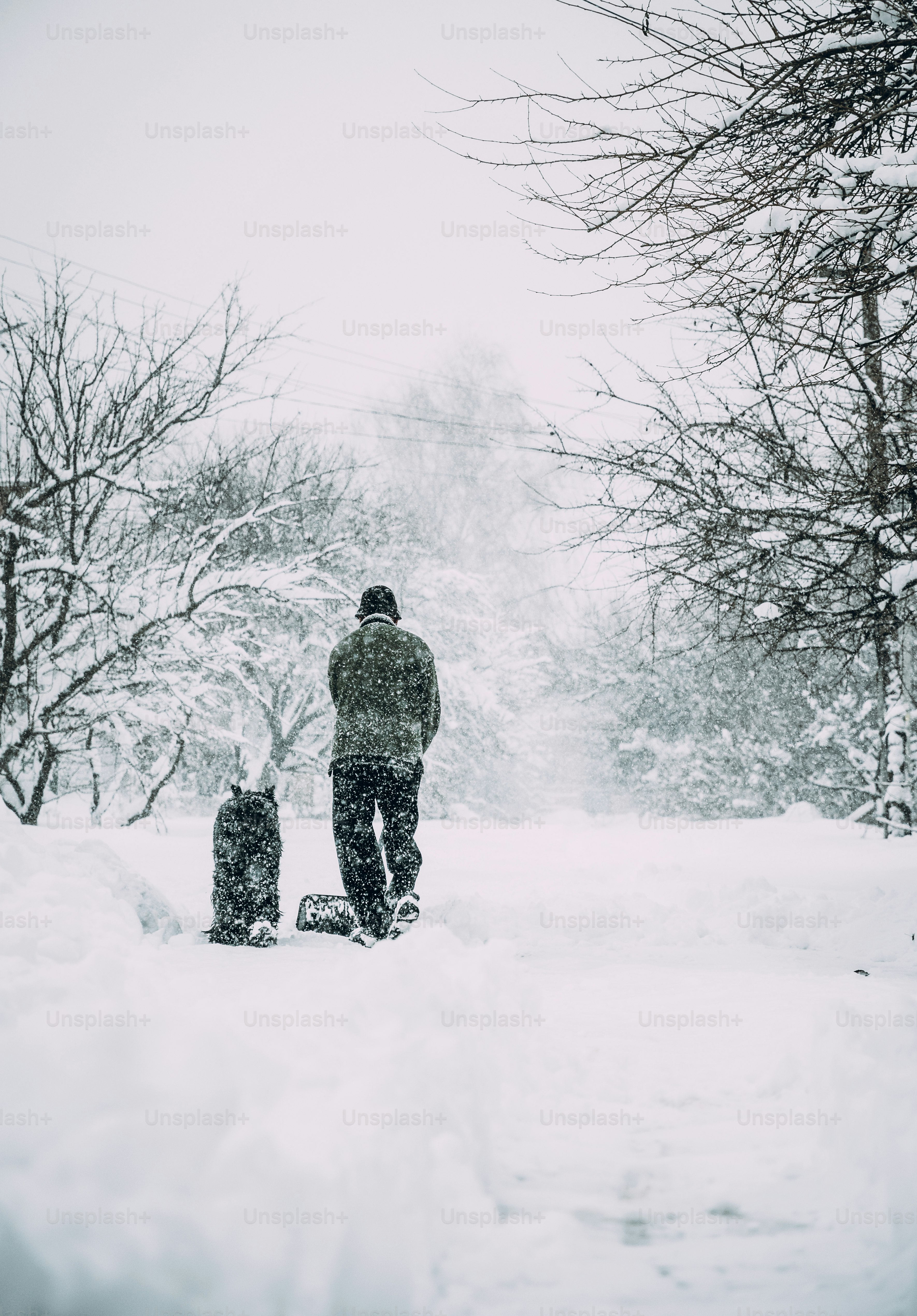 Winter snow removal. A man with a shovel clears the yard and driveway from snow during heavy snow
