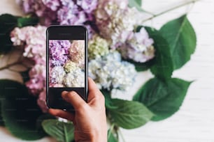 Hand holding phone and taking photo of hydrangea flowers on rustic white wood, flat lay. Content for social media concept, blogging photos. Happy mothers day. Space for text