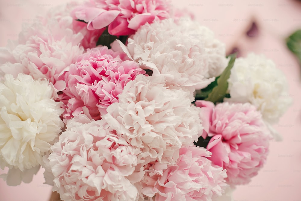 세련 된 모란 꽃다발 플랫 누워. 파스텔 핑크 종이에 분홍색과 흰색 모란. 안녕하세요 봄입니다. 해피 어머니의 날, 꽃 인사말 카드 모형. 세계 여성의 날. 발렌타인