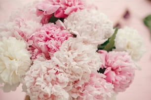 Elegante ramo de peonías plano. Peonías rosas y blancas sobre papel rosa pastel. Hola primavera. Feliz día de las madres, maqueta de tarjeta de felicitación floral. Día Internacional de la Mujer. Día de San Valentín
