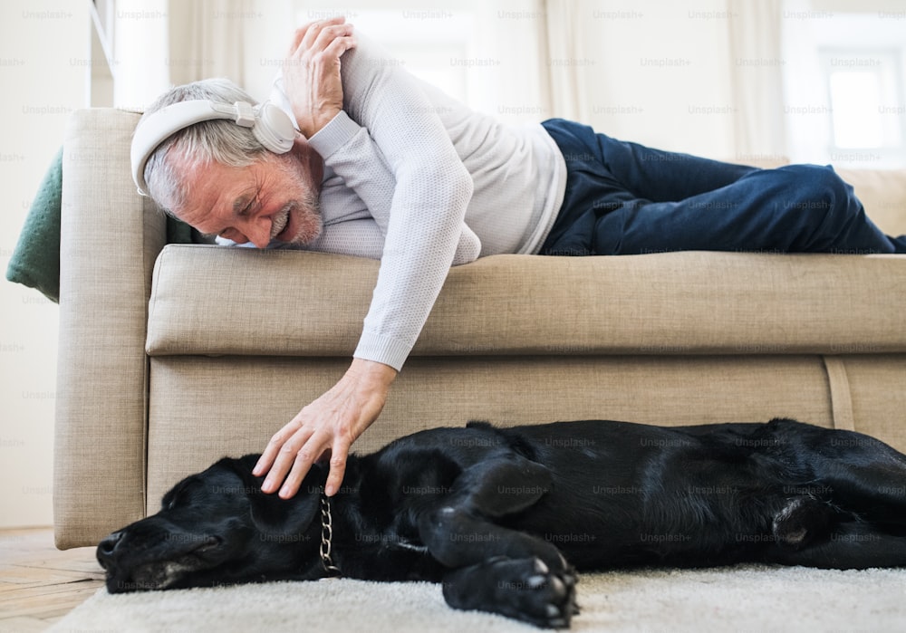 Un homme âgé heureux avec des écouteurs allongé sur un canapé à l’intérieur de la maison, jouant avec un chien de compagnie tout en écoutant de la musique.