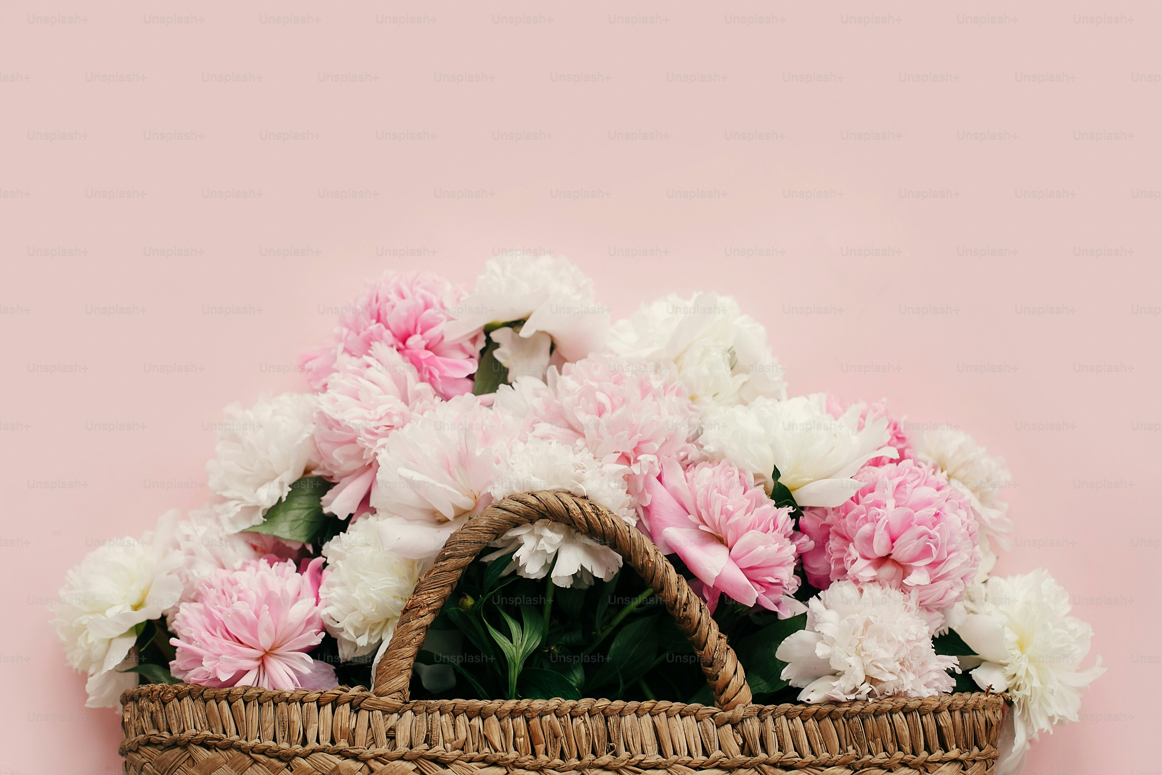 Halo konsep musim semi. Tas pedesaan jerami bergaya dengan peony putih dan merah muda di atas kertas merah muda pastel, rata dengan ruang salinan. Hari Perempuan Internasional. Selamat hari ibu, kartu ucapan bunga