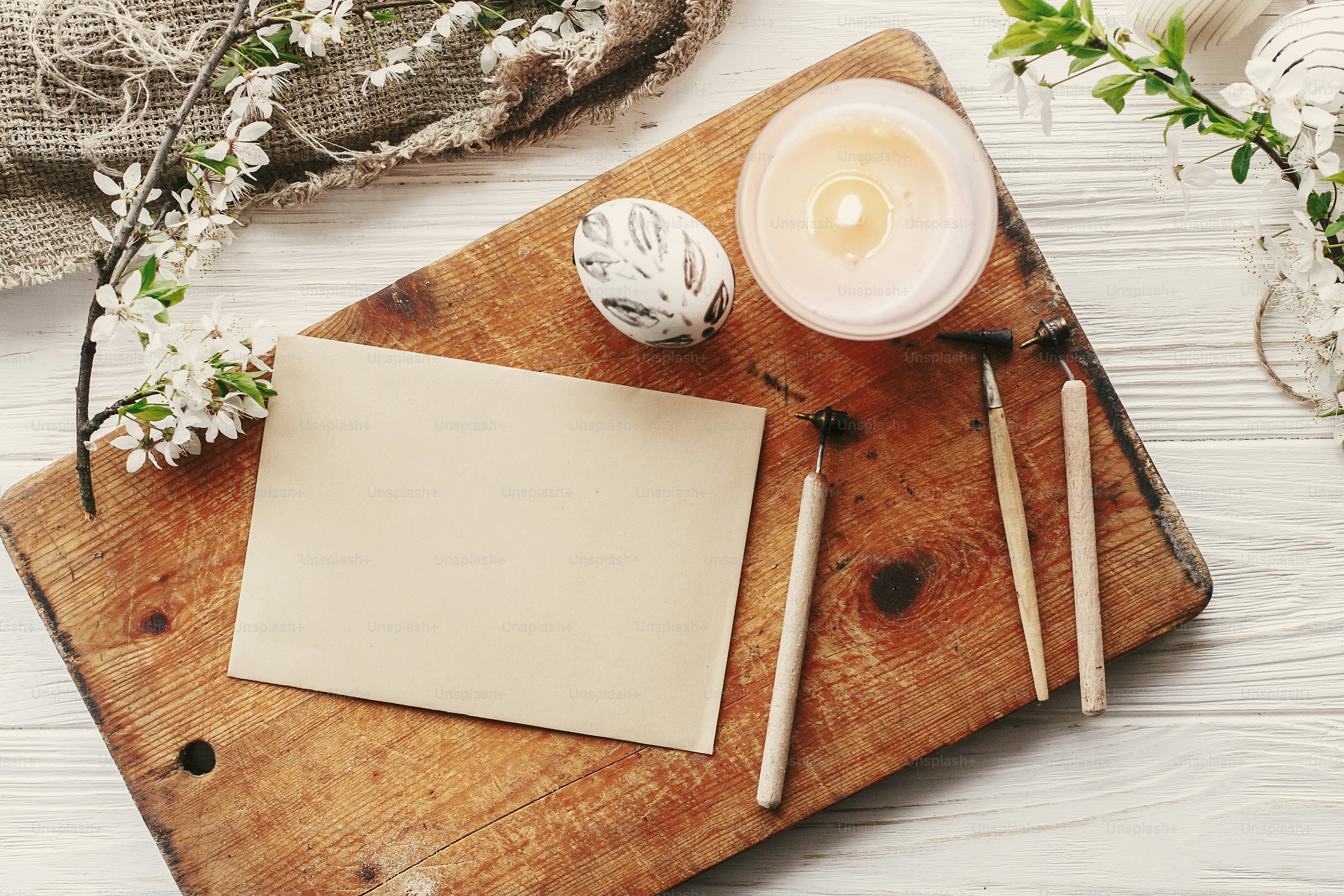 봄바르디로크로코딜로종이 | TikTok, image size:3000x2000