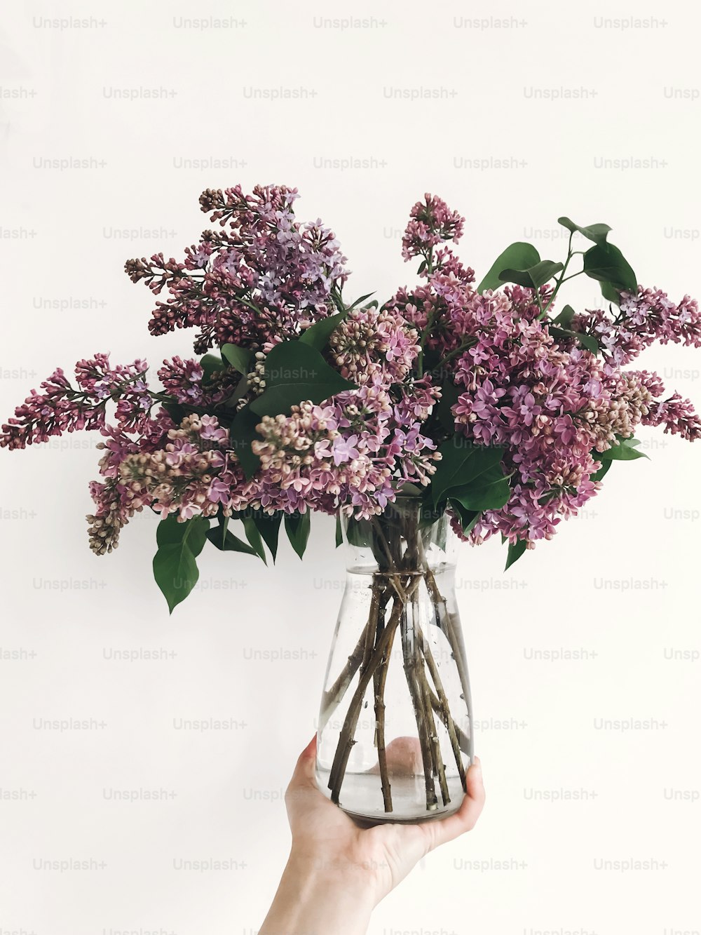白い背景に紫色のライラックの花を持つ手。こんにちは春。幸せな母の日。ガラスの花瓶に描かれたライラックの花束